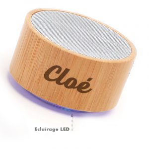 Enceinte2